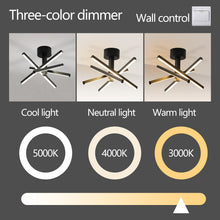 Load image into Gallery viewer, 12 Inch Modern LED Ceiling Light, Geometric Starburst Design with Black Finish for Living Room, Bedroom, and Hallways