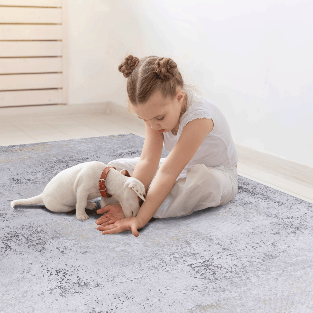 MAVAL Gold Washable Rug 2' x 3' Doormat Rug (Gray+Gold, 2' x 3') Modern, Contemporary, Non-Shedding & Easy to Clean, Ideal for Living Room, Bedroom, Dining Space, 36*24 inch