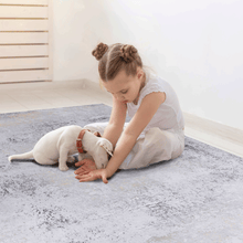 Load image into Gallery viewer, MAVAL Gold Washable Rug 2' x 3' Doormat Rug (Gray+Gold, 2' x 3') Modern, Contemporary, Non-Shedding &amp; Easy to Clean, Ideal for Living Room, Bedroom, Dining Space, 36*24 inch