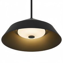 Load image into Gallery viewer, 14 inch Diameter Integrated LED Black Pendant